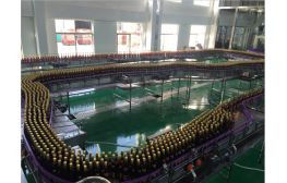 【專業(yè)酒水類流水線供應(yīng)商】供應(yīng)扁瓶輸瓶機(jī),空瓶輸送流水線
